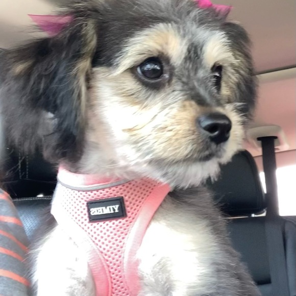 My name is Lara, but.. you can call me Flora if you want too… - Picture 3 of 3